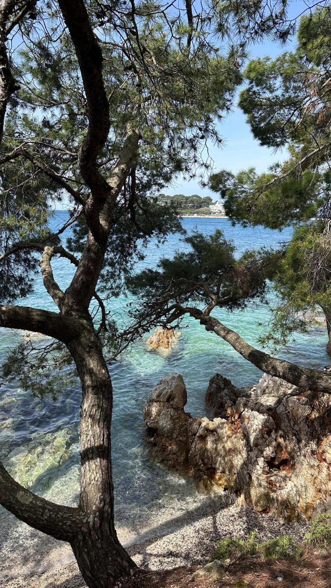 Moderne Mali Dvor Mit Pool 500m Am In Porec *